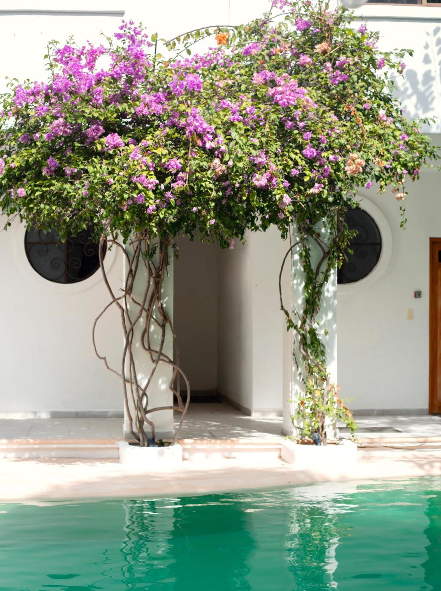 Sonido del mar Hotel Boutique&Yoga Loft Tulum Extérieur photo